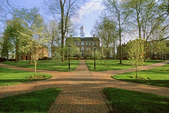 Photo of redbrick academic buildings in a green quad